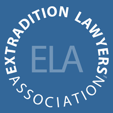 Removing an Interpol Red Notice A Comprehensive Guide 373962235